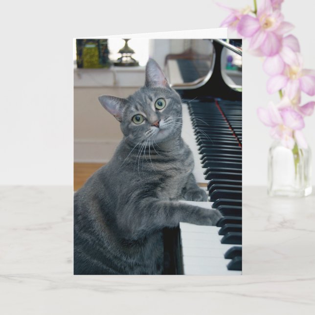 Nora El Gato Piano - Tarjeta plegada en blanco - E (Orquídea)
