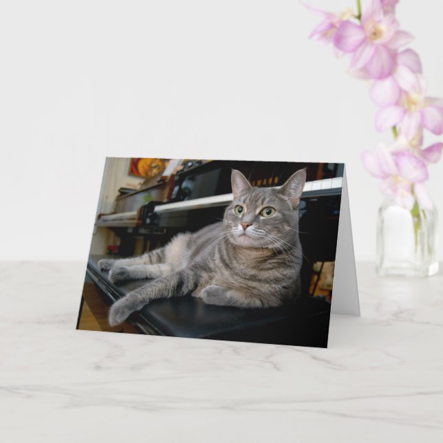 Nora The Piano Cat - Tarjeta plegada en blanco - E (Orquídea)