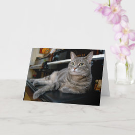 Nora The Piano Cat - Tarjeta plegada en blanco - E