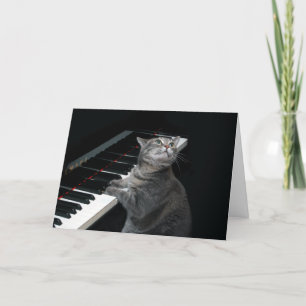 Nora The Piano Cat - Tarjeta plegada en blanco - E