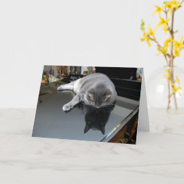 Nora The Piano Cat - Tarjeta plegada en blanco - E