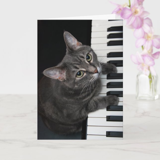 Nora The Piano Cat - Tarjeta plegada en blanco - E (Orquídea)
