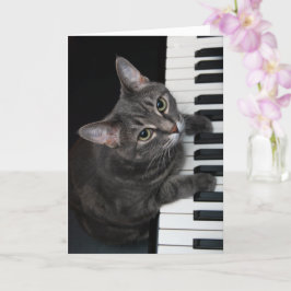 Nora The Piano Cat - Tarjeta plegada en blanco - E