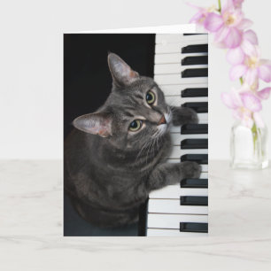 Nora The Piano Cat - Tarjeta plegada en blanco - E