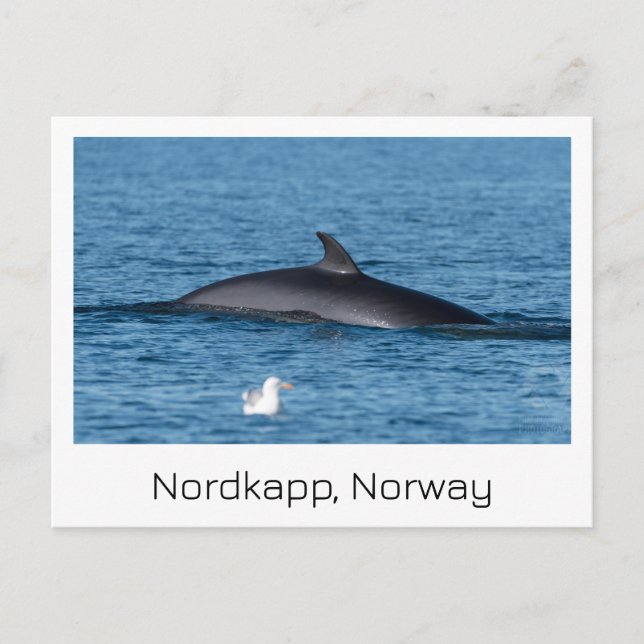 Nordkapp, postal de Noruega. (Anverso)