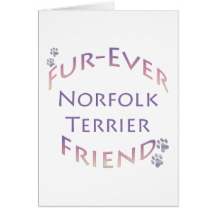 Norfolk Terrier Furever