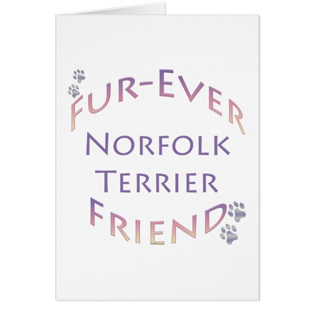 Norfolk Terrier Furever (Frente)