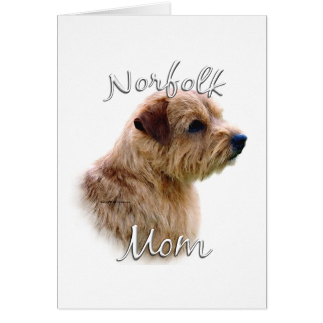 Norfolk Terrier Mom 2 (Frente)