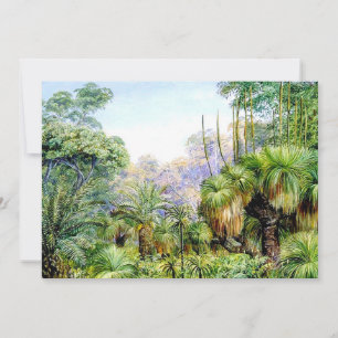 Norte - Escena forestal en Australia Occidental