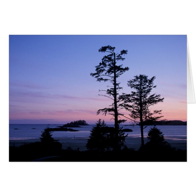 Norteamérica, Canadá, Isla de Vancouver, árboles (Anverso (Horizontal))