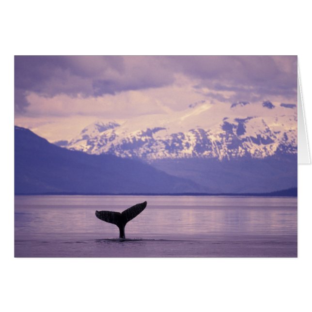 Norteamérica, EE. UU., Alaska, Paso Interior. (Anverso (Horizontal))