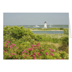 Norteamérica, EE. UU., Massachusetts, Martha's