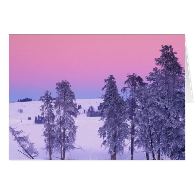 Norteamérica, EE. UU., Montana, Yellowstone (Anverso (Horizontal))