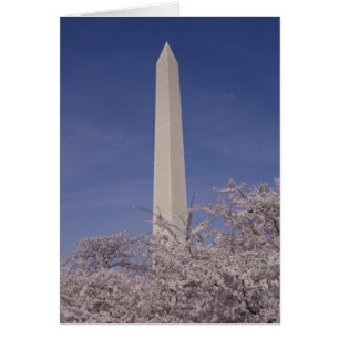 Norteamérica, EE. UU., Washington D.C.. Washington