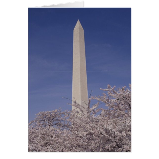 Norteamérica, EE. UU., Washington D.C.. Washington (Frente)