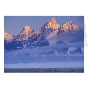Norteamérica, EE. UU., Wyoming, Parque Nacional Gr