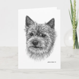 Norwich Terrier Art de Glenda S. Harlan