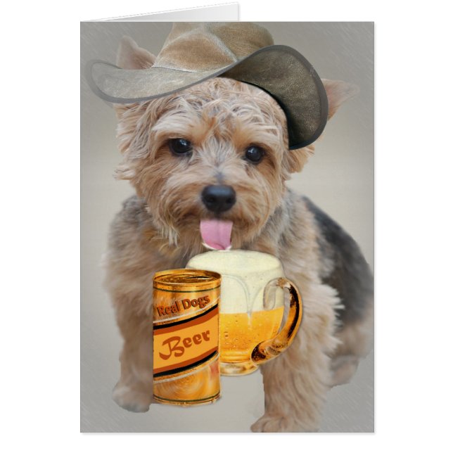 Norwich Terrier comparte una cerveza (Frente)