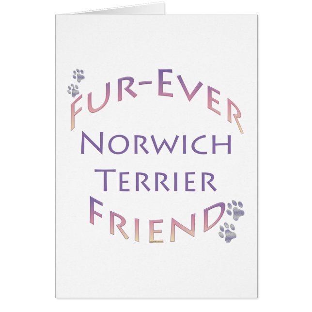 Norwich Terrier Furever (Frente)