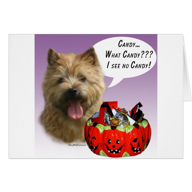Norwich Terrier Halloween Candy (Anverso (Horizontal))