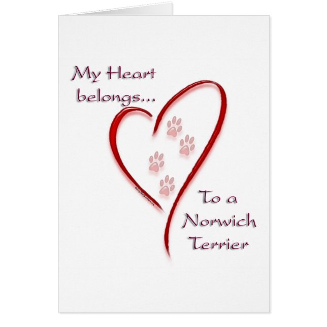 Norwich Terrier Heart Pertenece (Frente)