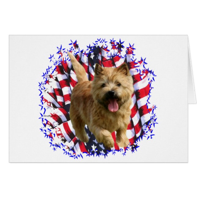 Norwich Terrier Patriot (Anverso (Horizontal))