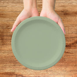 Nos Casamos Plato de Papel Verde