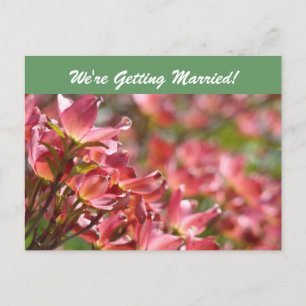 ¡Nos estamos casando! tarjetas postales Guarden la