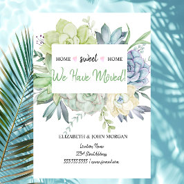 Nos Hemos Mudado, Cactus Suculenta Puntos De Polka