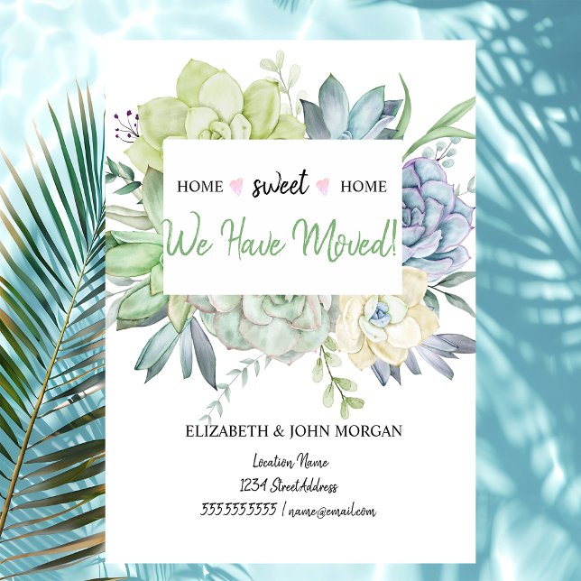 Nos Hemos Mudado, Cactus Suculenta Puntos De Polka (Subido por el creador)