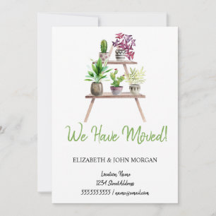 Nos hemos mudado,Plantas,Arreglo