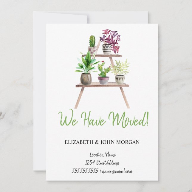 Nos Hemos Mudado, Plantas, Arreglo (Anverso)