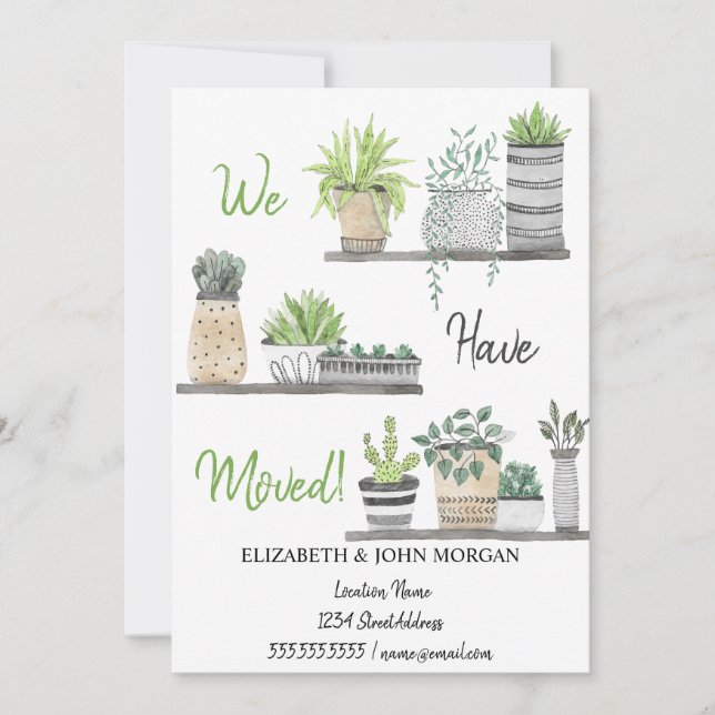 Nos Hemos Mudado, Plantas, Estantes (Anverso)