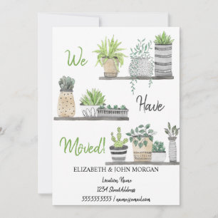 Nos Hemos Mudado, Plantas, Estantes