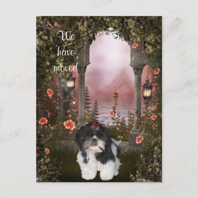 "Nos hemos mudado" Tarjeta postal de Shih Tzu (Anverso)
