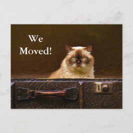 ¡Nos Mudamos! Anuncio de nueva dirección gato en m