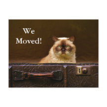 ¡Nos Mudamos! Anuncio de nueva dirección gato en m