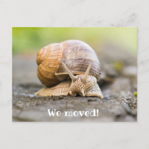 Nos mudamos la postal con caracol