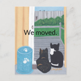 Nos mudamos, postales de aficionados al gato