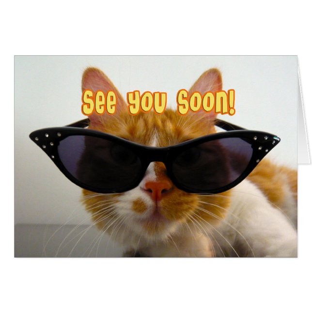 Nos vemos pronto - Gato genial (Anverso (Horizontal))