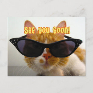 Nos vemos pronto - Tarjeta postal de gato genial