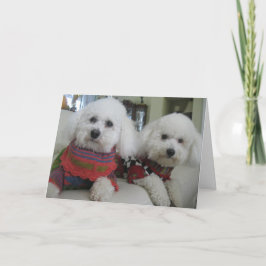 "Nosas frías, corazones cálidos" - Tarjeta de feli