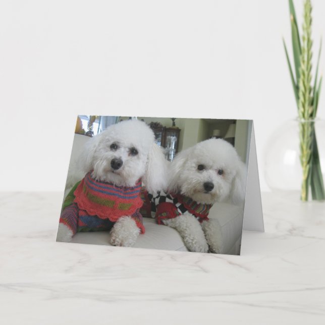 "Nosas frías, corazones cálidos" - Tarjeta de feli (Anverso)