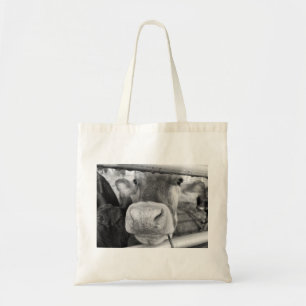 Nose Alrededor De La Bolsa De Tote