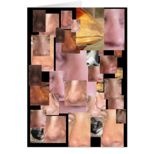 NOSE NÓBODY