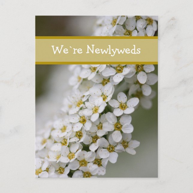 Nosotros ` con referencia a la postal del Spiraea (Anverso)
