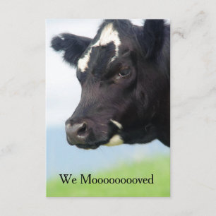 Nosotros invitación de Moooved