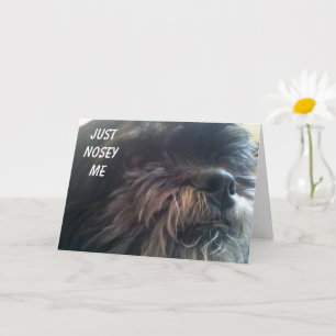 NOSY DOG PREGUNTA "¿TIENES 50?" TARJETA DE CUMPLEA