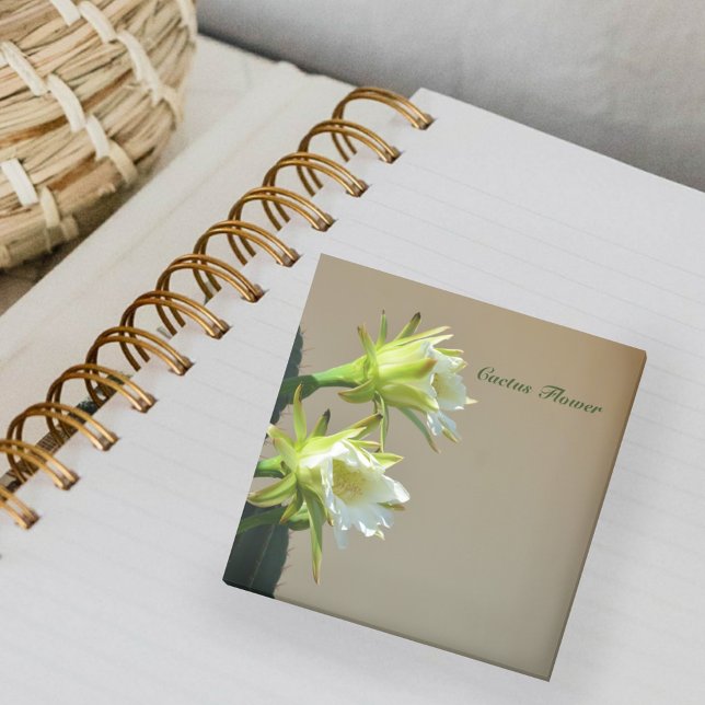 Nota Botánica Floral de Cactus Blancos (Subido por el creador)