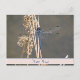 Nota Botánica Personalizada Vintage Blue Dragonfly